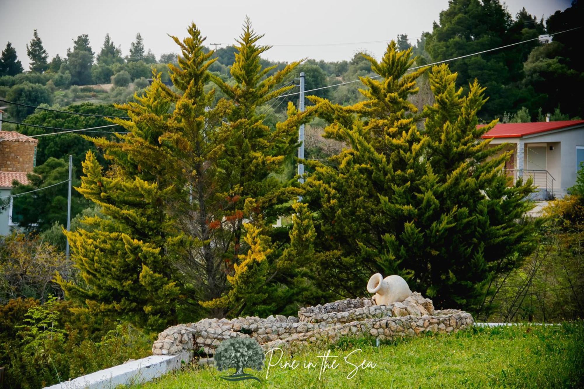 Pine In The Sea Nikiti-Sithonia Apartment ภายนอก รูปภาพ